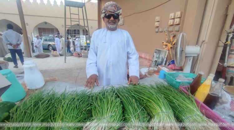 రుస్తాక్‌లోని తావి అల్-హరా మార్కెట్‌లో వింటర్ క్రాప్..!!