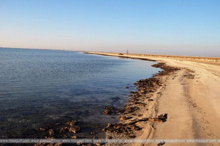 సౌదీలో నవంబర్ 25 నుండి ఫ్యామిలీ బీచ్ స్పోర్ట్స్ ఫెస్టివల్‌..!!