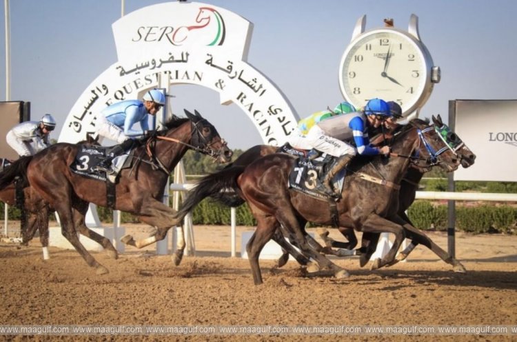 Sharjah racecourse season to open on Sunday