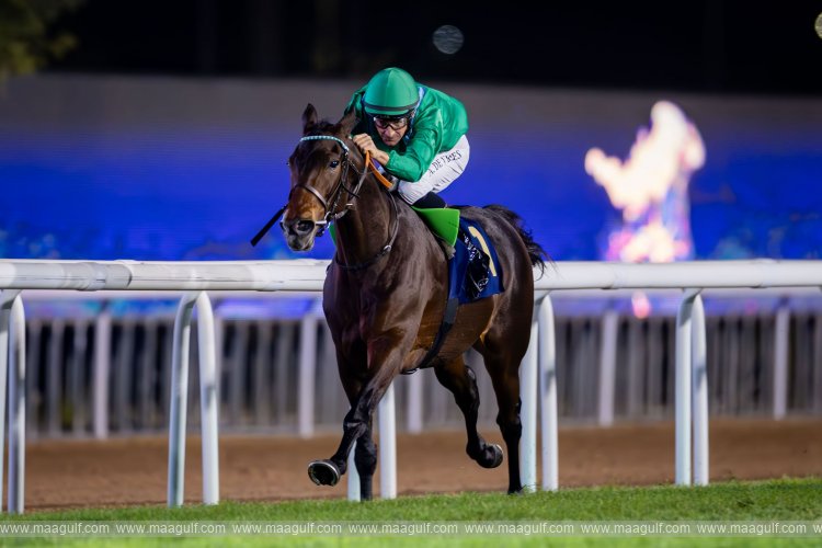 Abu Dhabi Turf Club hosts 33rd UAE President Cup for Arabian Purebred Horses tomorrow
