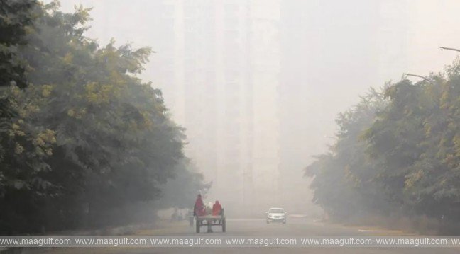 Record-breaking temperatures..