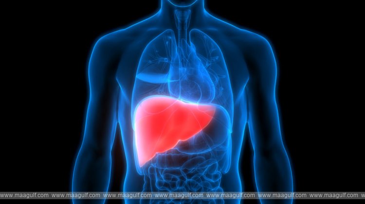 ఈ విటమిన్లు తగ్గితే లివర్ దెబ్బతింటుంది!