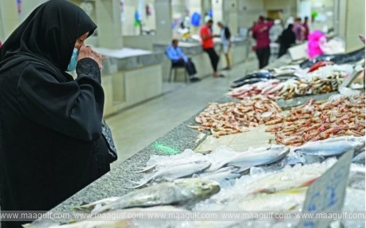 అల్-ముబారకియా నుండి చేపల మార్కెట్ తరలింపు..!!