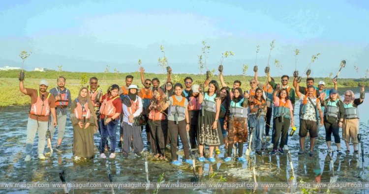 Hotpack employees lead mangrove planting initiative at Al Zora Reserve in Ajman