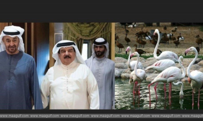 అల్ అరీన్ రిజర్వ్ కు షేక్ మొహమ్మద్ బిన్ జాయెద్ పేరు..!!