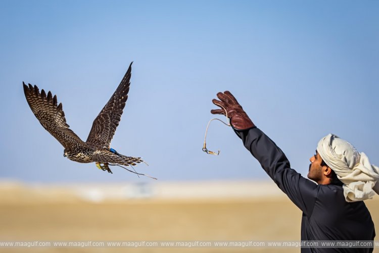 మర్మీ ఫెస్టివల్ జనవరి 1న ప్రారంభం..!!
