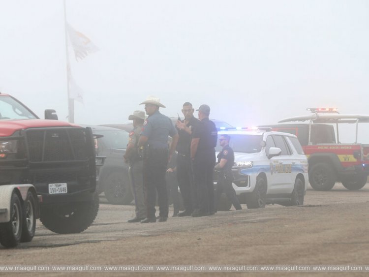 Mexican Navy plane crashes, five dead