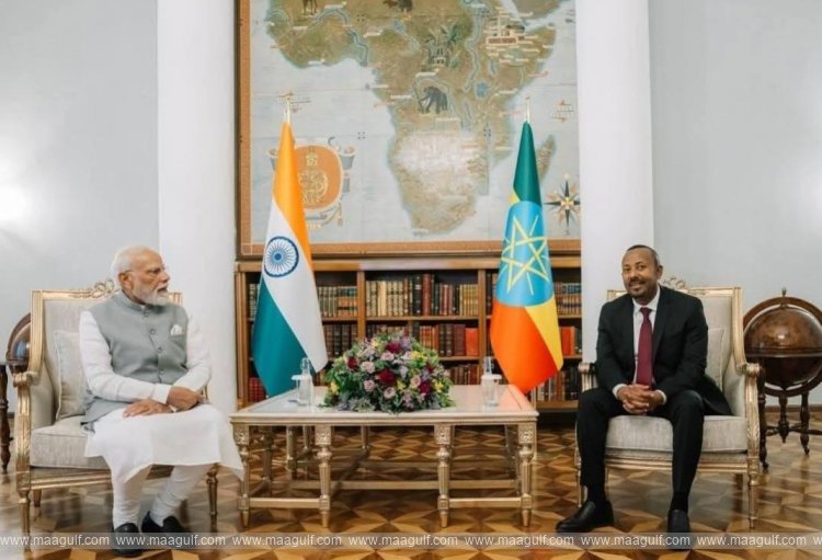 PM Modi holds \'productive meeting\' with Ethiopian counterpart