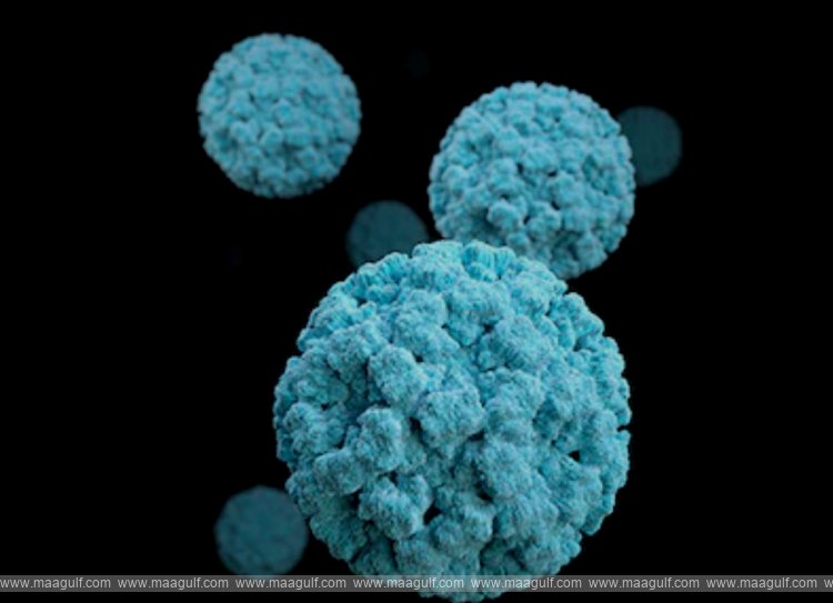 చైనాలో కలకలం సృష్టిస్తున్న ‘నోరా వైరస్’