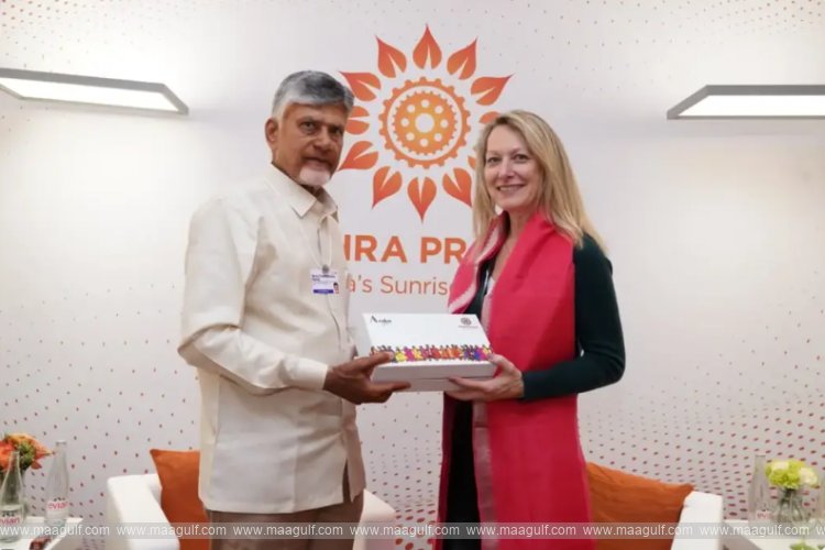 ఎన్ విడియా ఉపాధ్యక్షురాలితో సీఎం చంద్రబాబు భేటీ