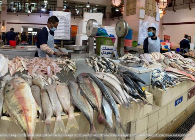 ఇండియా నుంచి చేపల దిగుమతికి అనుతించండి..!!