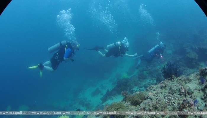 ముసందంలో డిస్కవరీ డైవింగ్ సెంటర్.. టూరిజానికి బూస్ట్..!!