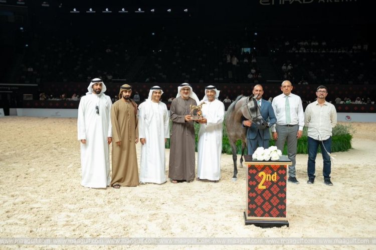 Abu Dhabi International Arabian Horse Championship opens with 369 entries