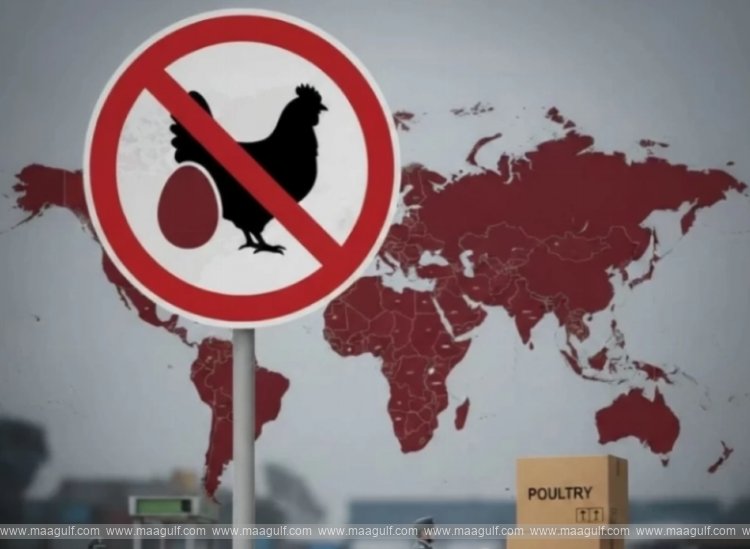 saudi-arabia-imposes-total-ban-on-poultry-and-egg-imports-from-40-countries