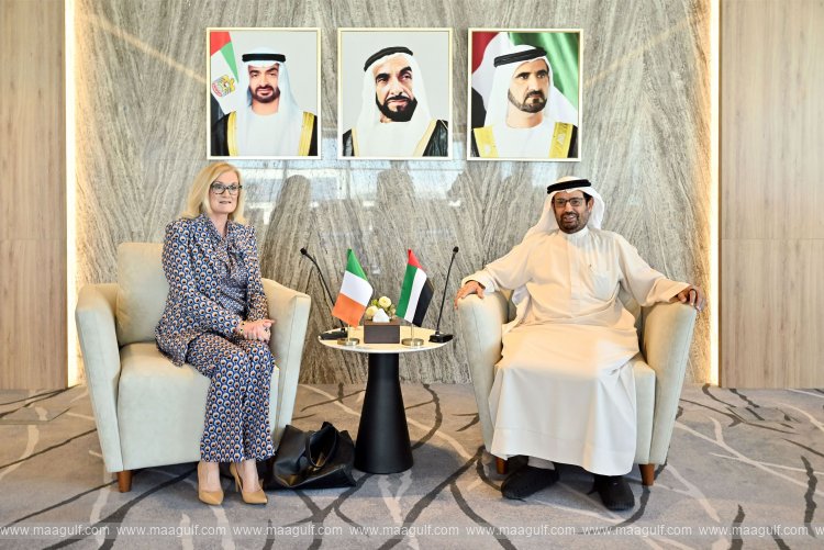 FNC discusses enhancing parliamentary cooperation with Ireland\'s Senate