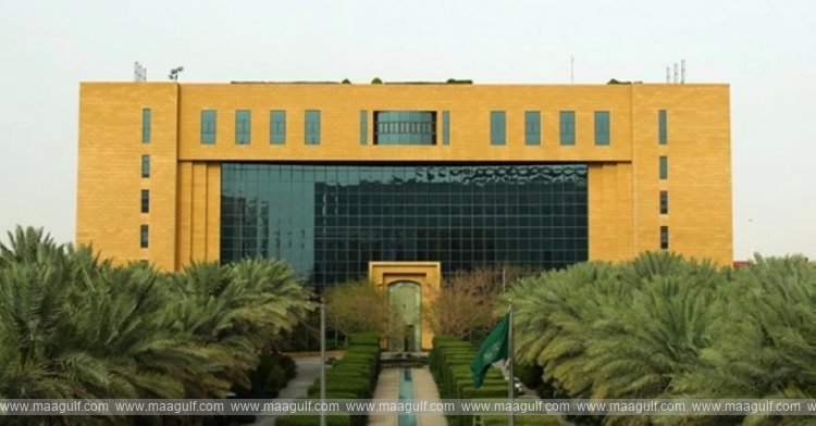 2025లో  574,000 మున్సిపల్ లైసెన్సులు జారీ..!!