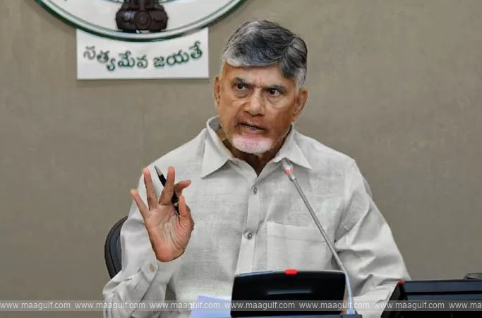 ఆహార పదార్థాల కల్తీపై నిరంతర నిఘా ఉంచాలి: సీఎం చంద్రబాబు