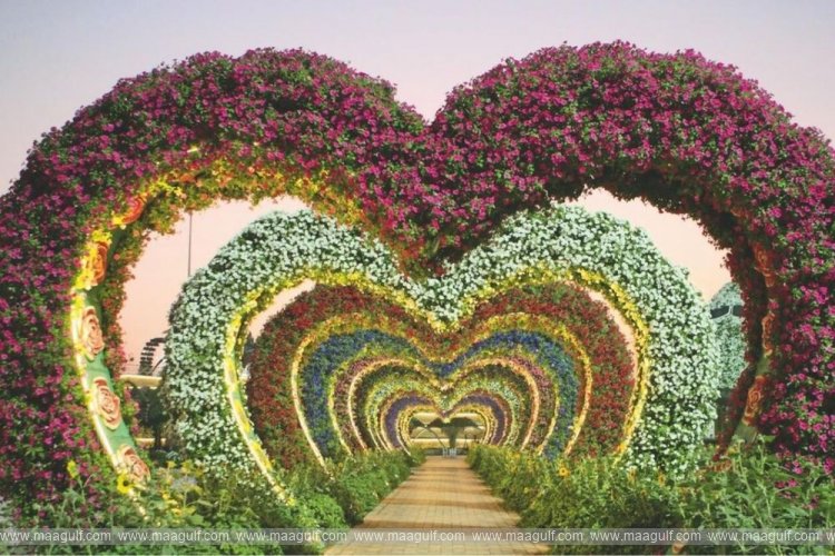 Dubai Miracle Garden offers free entry for children under 12