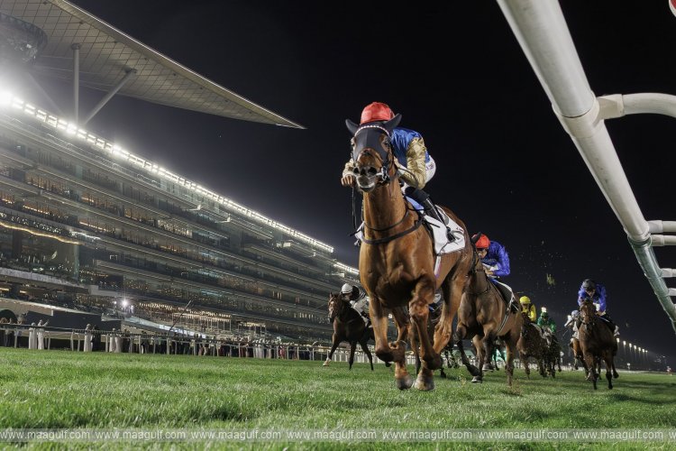 Dubai Racing Carnival reinforces global horse racing leadership
