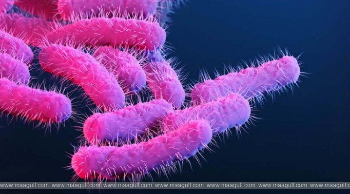 కేరళంలో షిగెల్లా వ్యాధి..