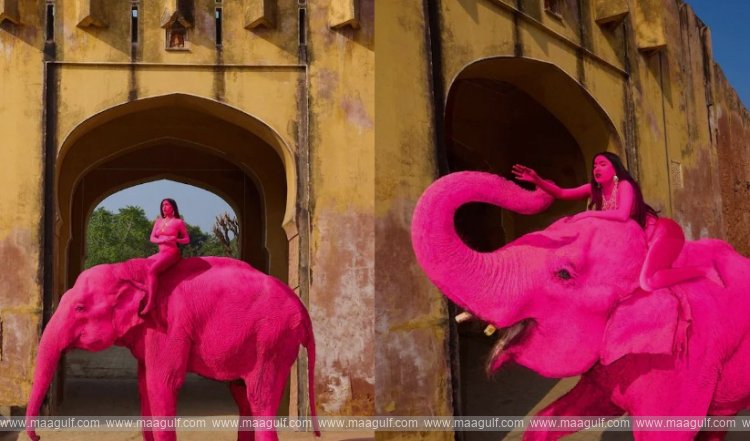 Netizens are outraged by the elephant\'s pink color