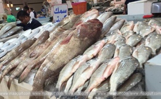 Fish-Imports-Continue-at-Land-Ports-Local-Production-Remains-Stable