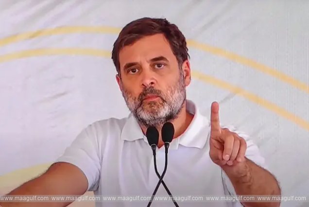 Rahul Gandhi\'s suggestion to the Centre on LPG shortage