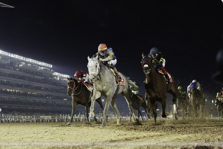100 horses to compete in 30th Dubai World Cup tomorrow
