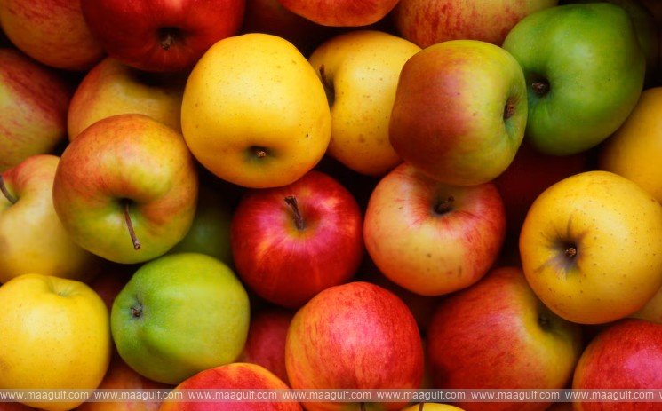 Apple Trading Fraud Cheats Businessman Of Rs 5.7 Crore