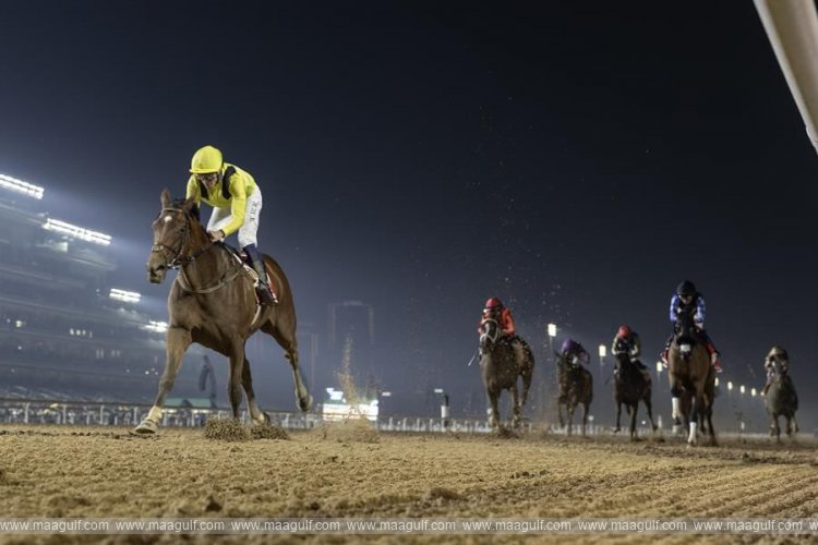 Giants clash early in Dubai World Cup trackwork