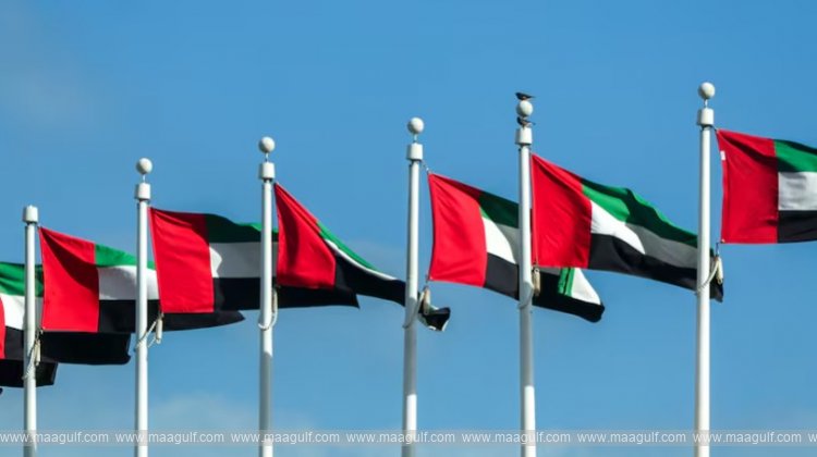 UAE Foils ‘Terrorist Network’ Linked to Hezbollah and Iran Funding