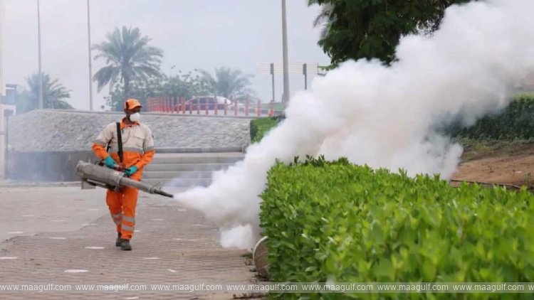 Sharjah Municipality launches rapid response to standing water