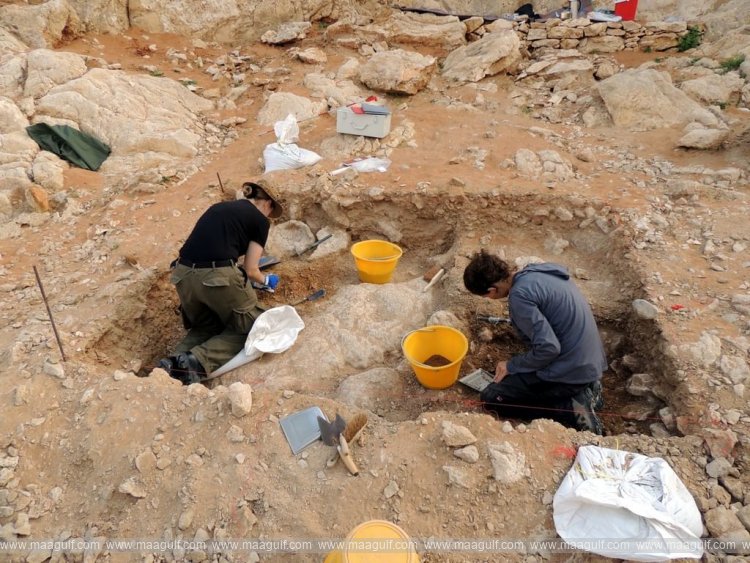 Sharjah invites international researchers to apply for Short-Term Research Grants