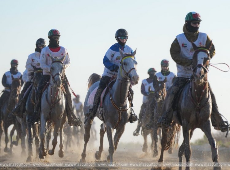 Crown Prince of Dubai Endurance Festival’s 18th edition starts countdown to grand finale