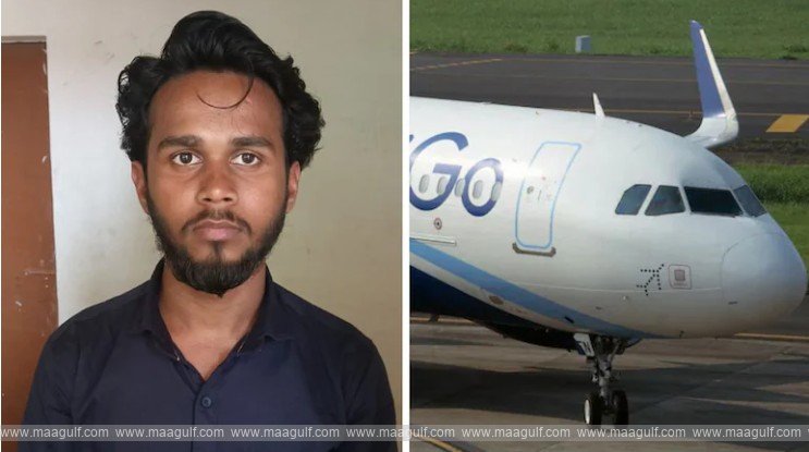 ఎగ్జిట్‌ డోర్‌ తెరిచేందుకు ప్రయత్నించిన ఇండిగో ప్రయాణికుడు