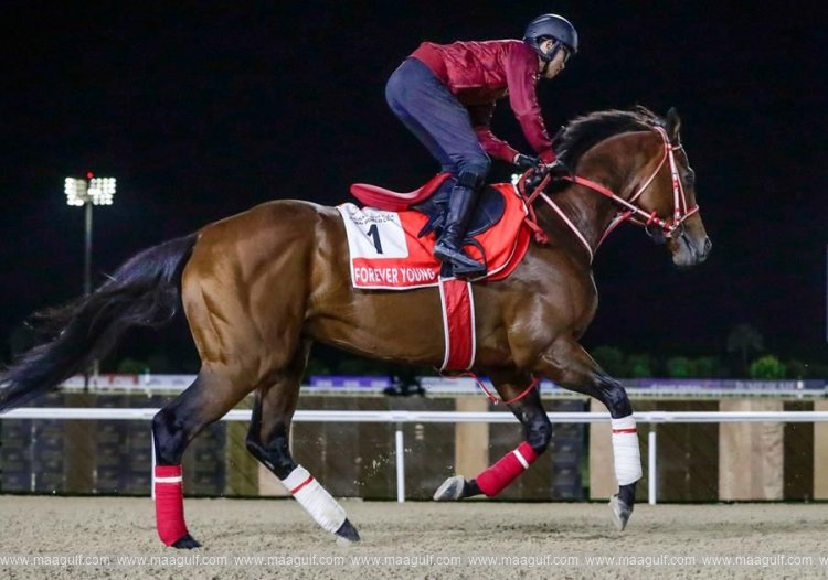 Forever young poised to make history at Dubai World Cup