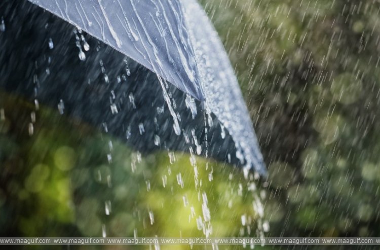 uae-rain-flooded-homes-damaged-cars