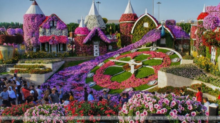 దుబాయ్ మిరాకిల్ గార్డెన్..ఉచిత ప్రవేశం పునఃప్రారంభం..!!