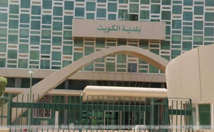 Municipality Campaign Issues 57 Violations, Removes 71 Abandoned Vehicles