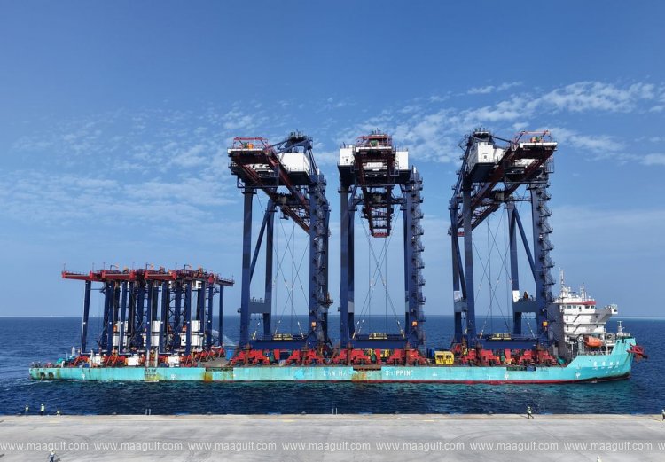 Noatum Ports Safaga Terminal - Egypt receives STS, RTG cranes