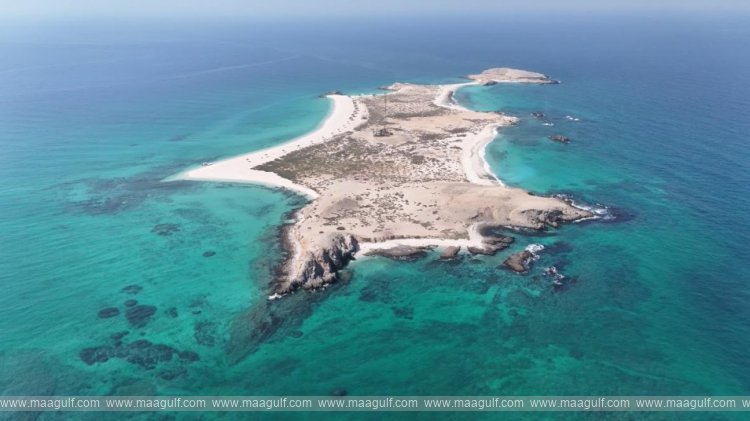 అల్-సఫ్లియా సమీపంలో నౌకల వినియోగంపై సర్క్యులర్ జారీ..!!