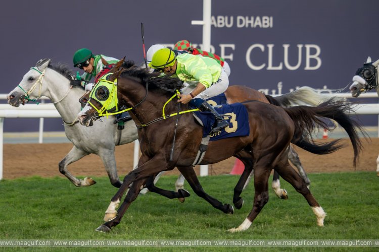 Field of 109 horses compete in Race Meeting 15 at Abu Dhabi Turf on Saturday