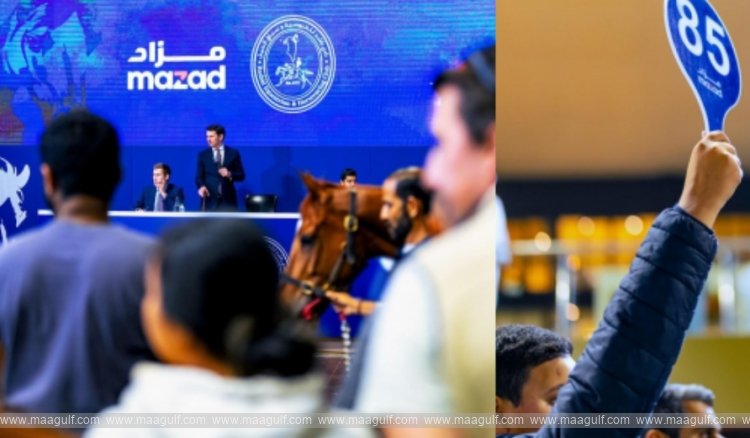 Bahrain\'s first virtual horse auction..!!