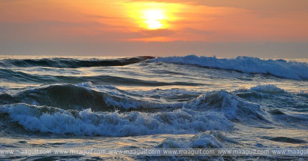 UAE youth dies trying to save sister..!!