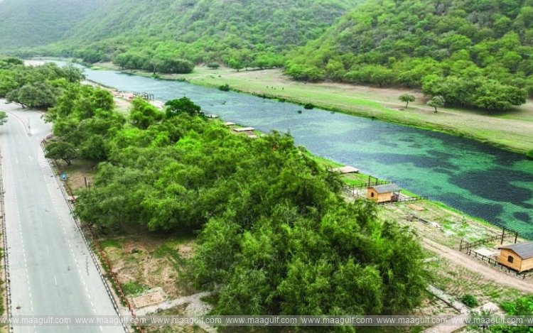 Online permits in Dhofar Municipality..!!