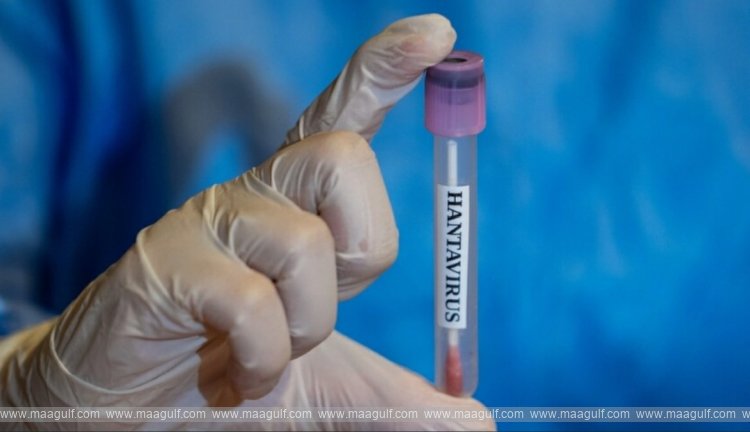 Saudi Arabia says Hantavirus risk remains ‘very low’