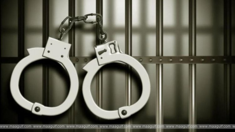 Gang of thieves who targeted bus passengers arrested