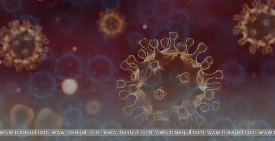 ఎబోలా వైరస్‌ ను ఎదుర్కోవడానికి సిద్ధం: యూఏఈ