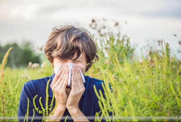 phcc-expert-insights-on-understanding-seasonal-allergies-prevention-and-treatment
