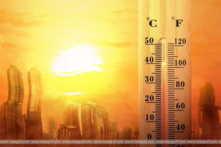 Global temperatures to reach near-record highs in next five years, report finds